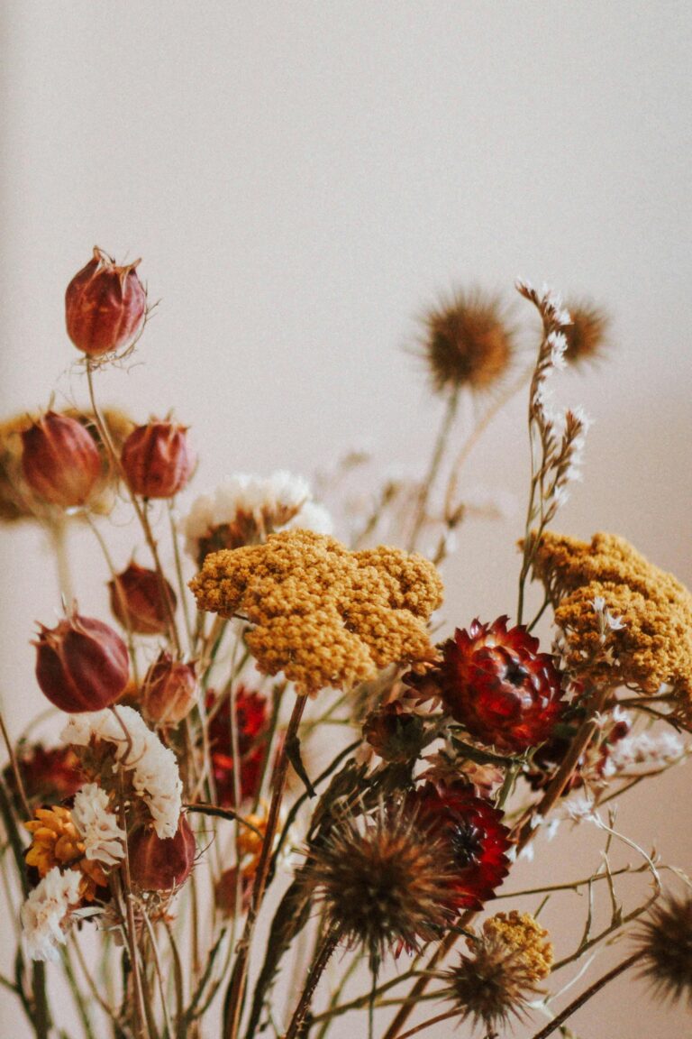 Shot of Dry Flowers against White Wall