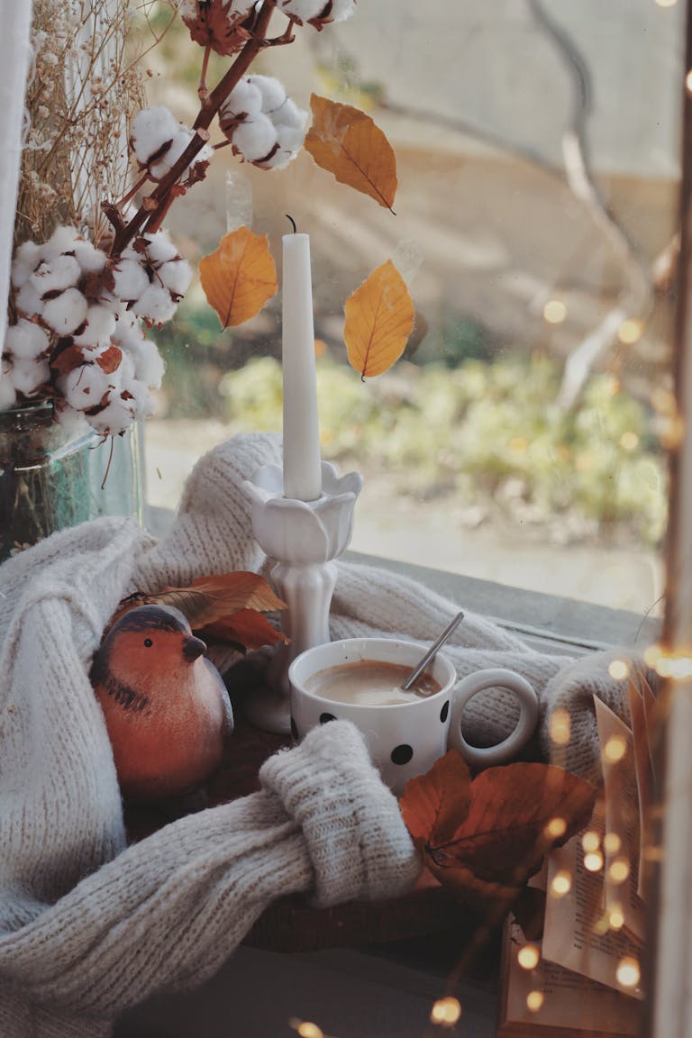 Free stock photo of autumn, coffee, fall