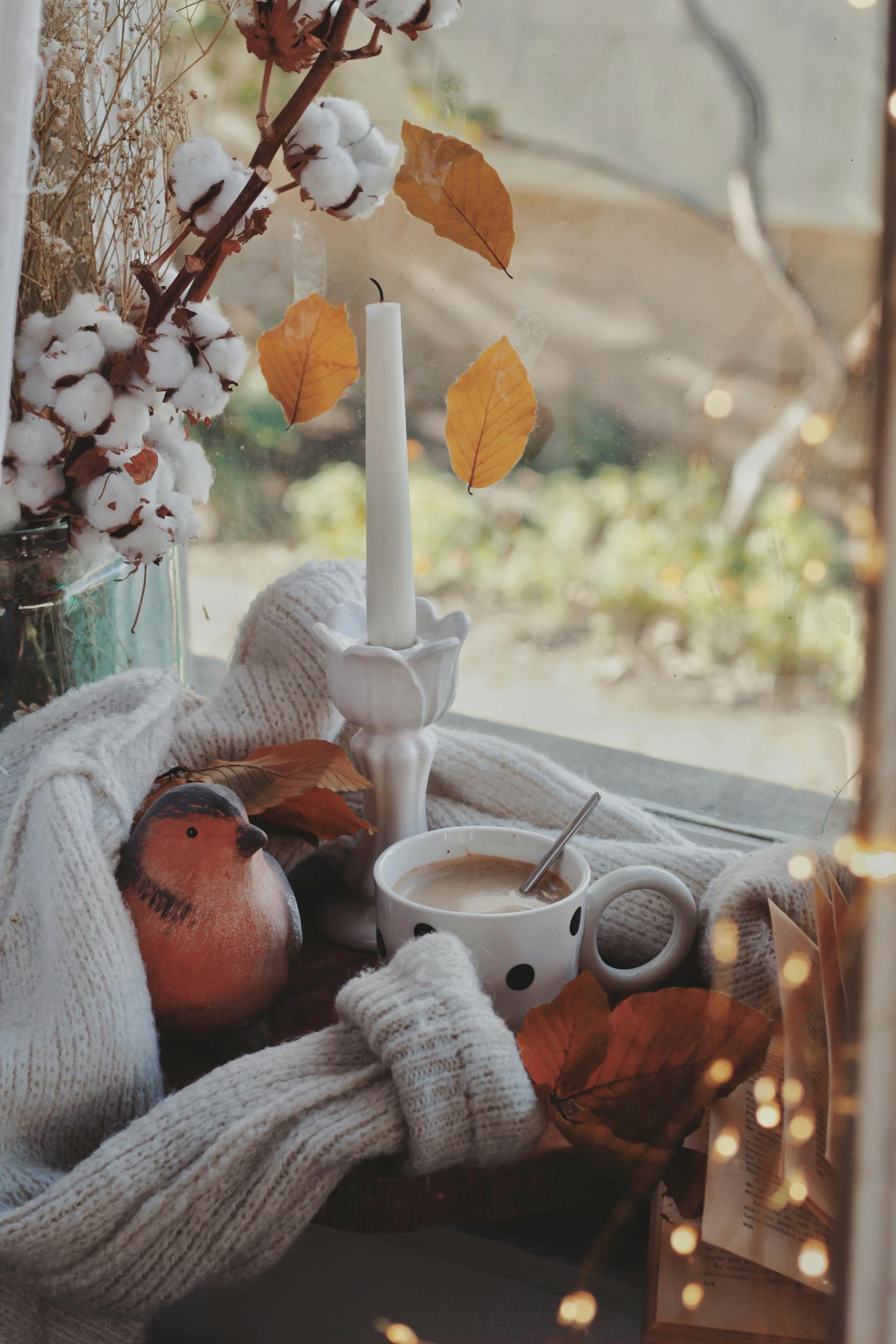 Free stock photo of autumn, coffee, fall