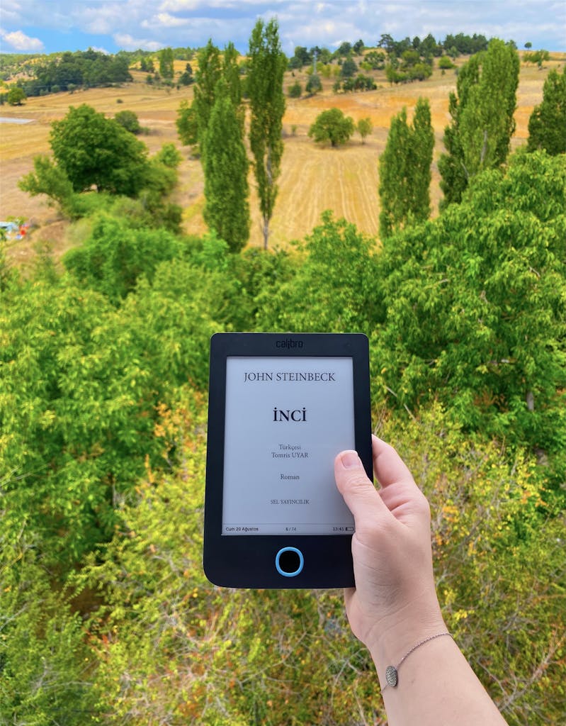 Reading a Book on an E-book Device Among the Fields