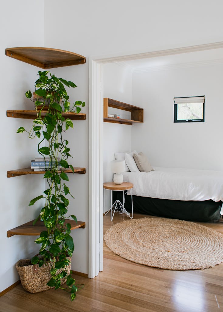 Stylish white bedroom featuring minimalist design, indoor shelving, and a lush potted plant for a soothing atmosphere.