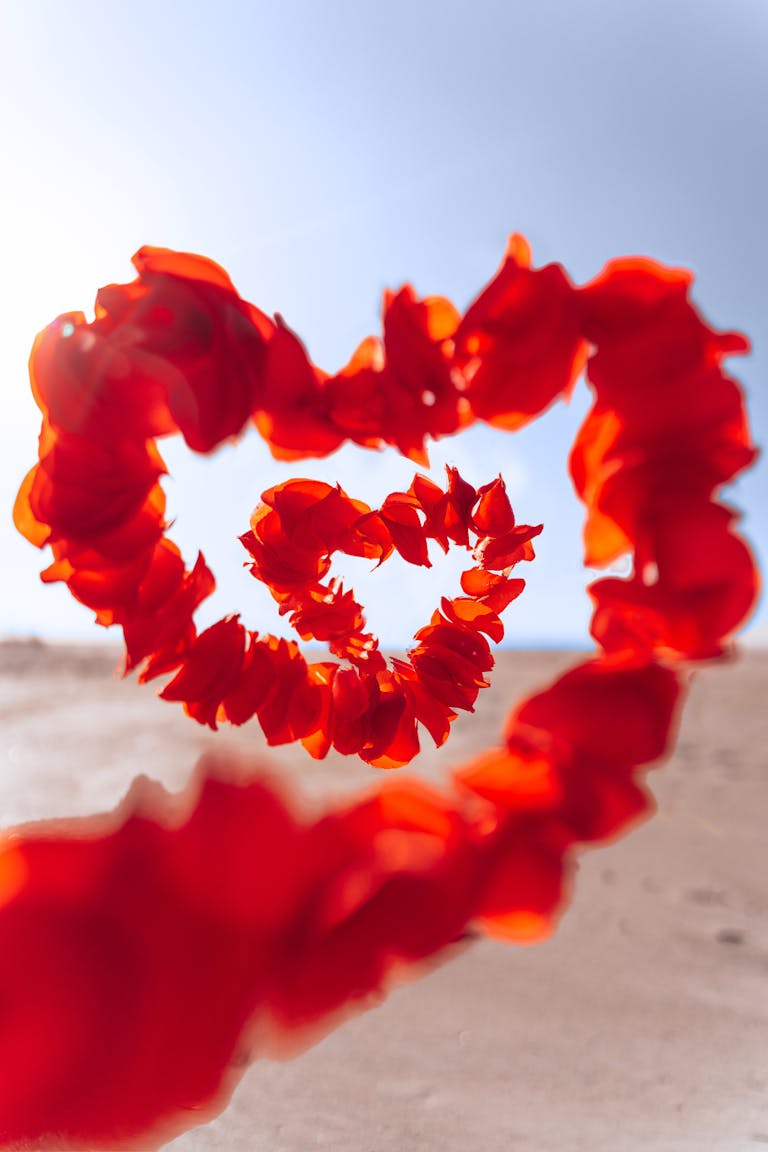 Vivid heart-shaped garland of red petals against a bright desert backdrop.