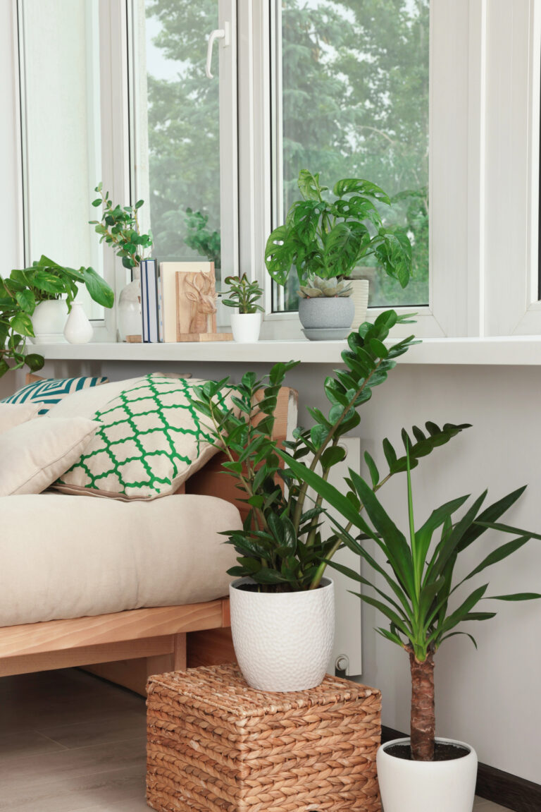 Indoor Plant Bedroom Decor That Feels Like Waking Up in Nature